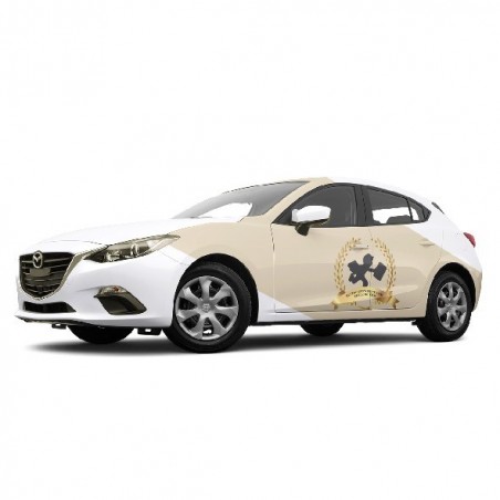 Rotulación de Vehiculos-buzoneotenerife